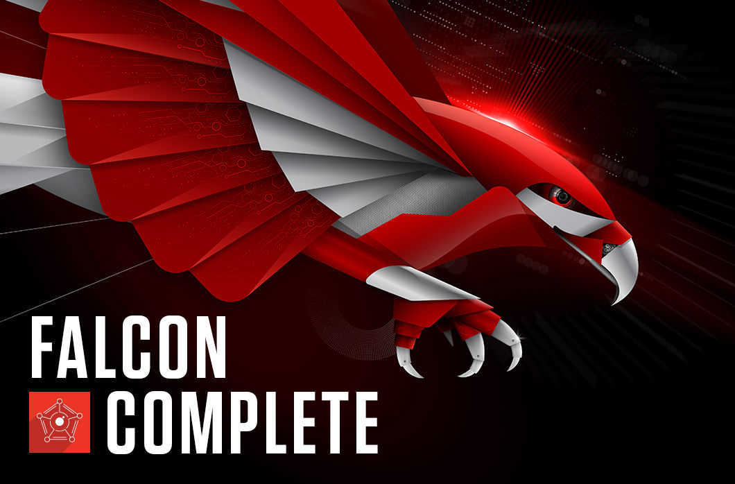 Falcon-Complete-blog-1-for-jp