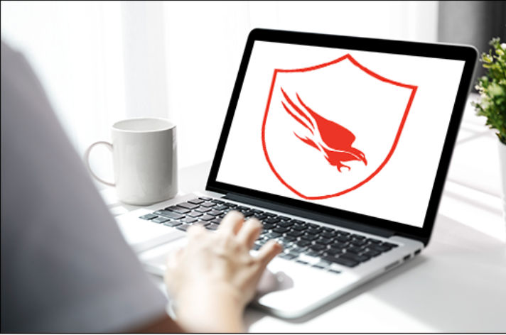 crowdstrike-programs-remote-workers