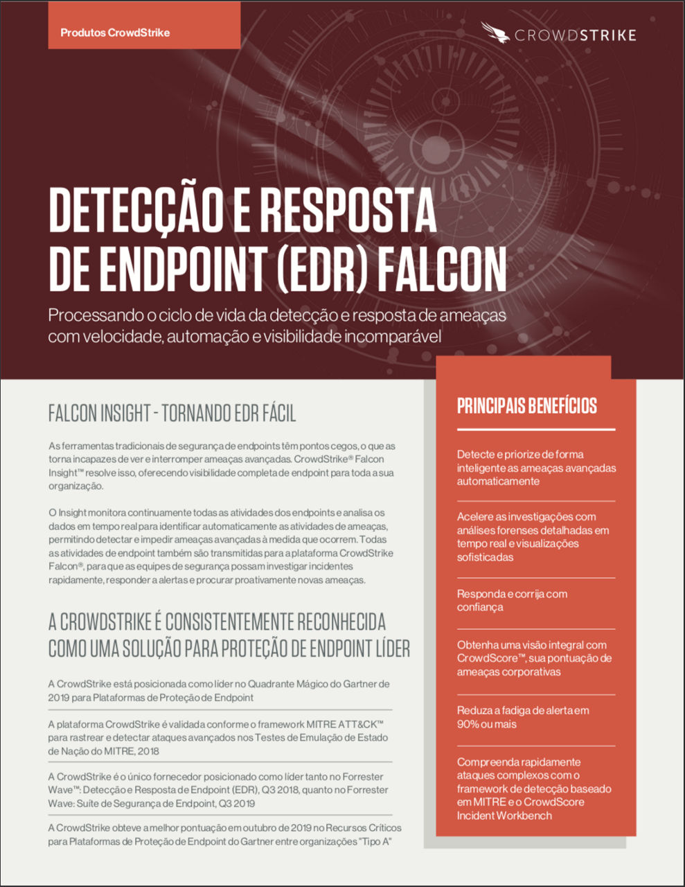 falcon-insight-data-sheet-cover-pt