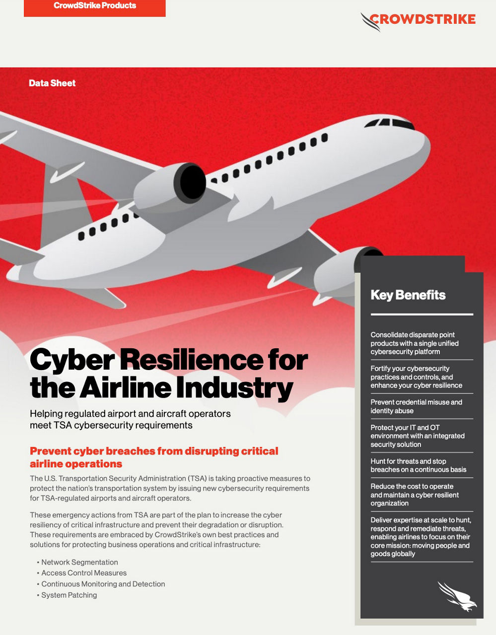 cyber-airlines-cover